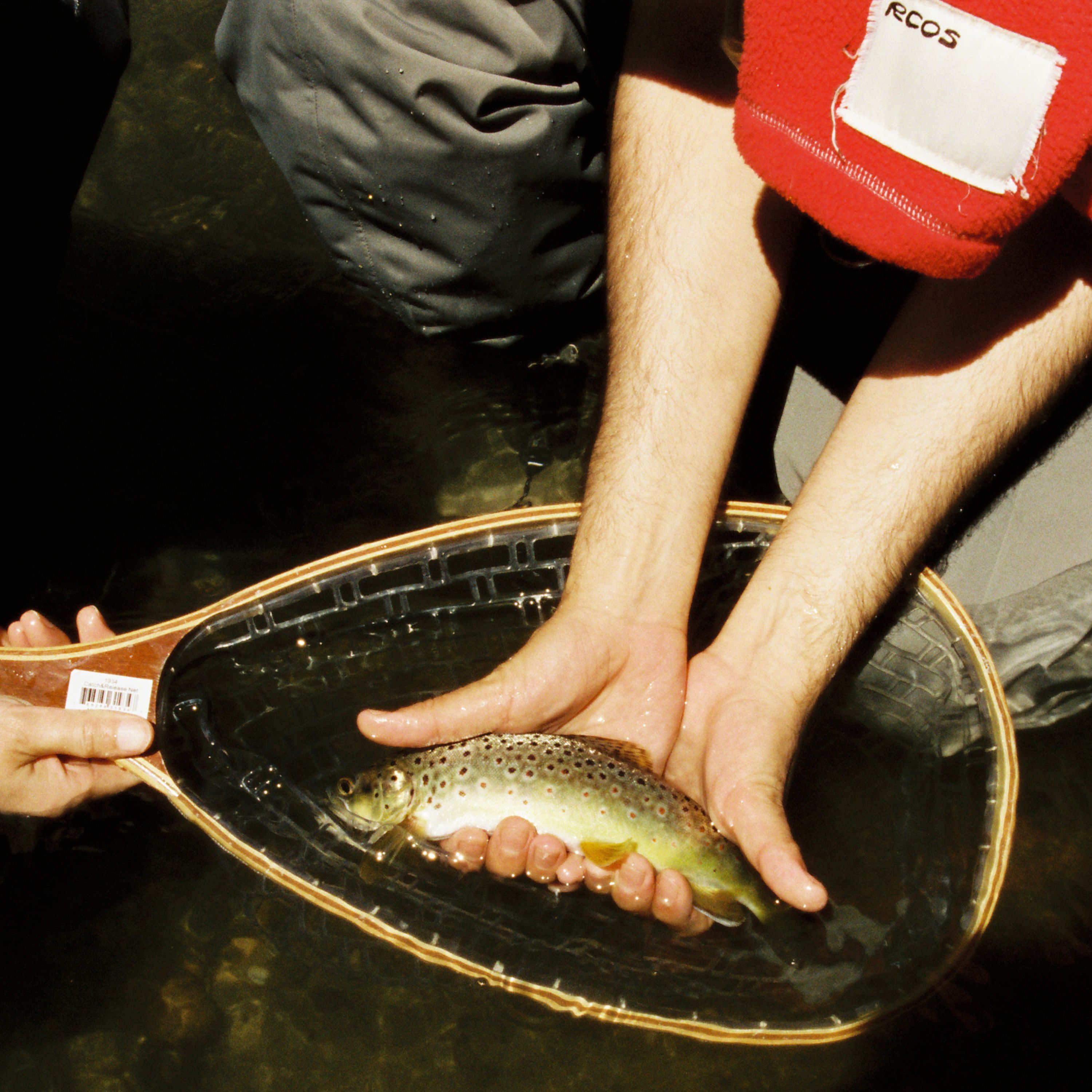 A decorative image from Usal Project