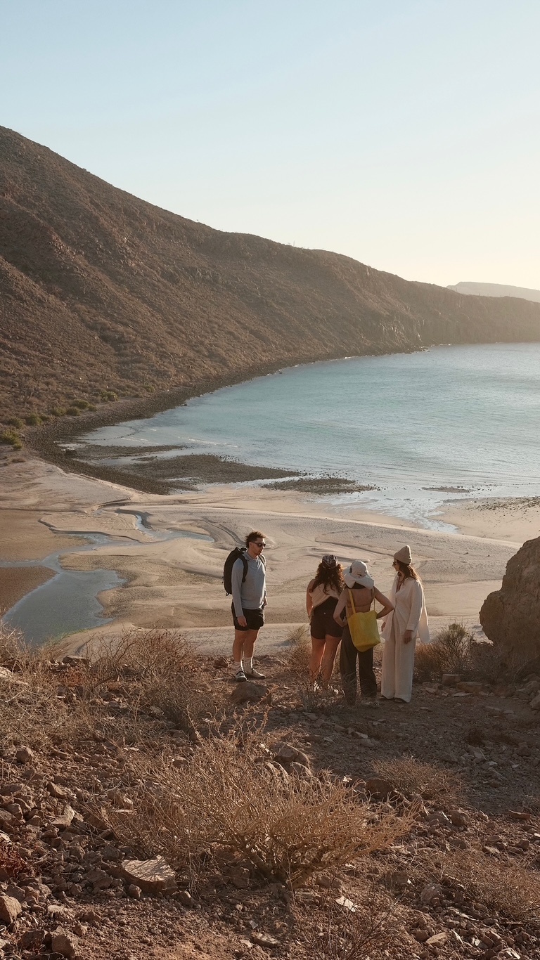 A decorative image from Usal Project