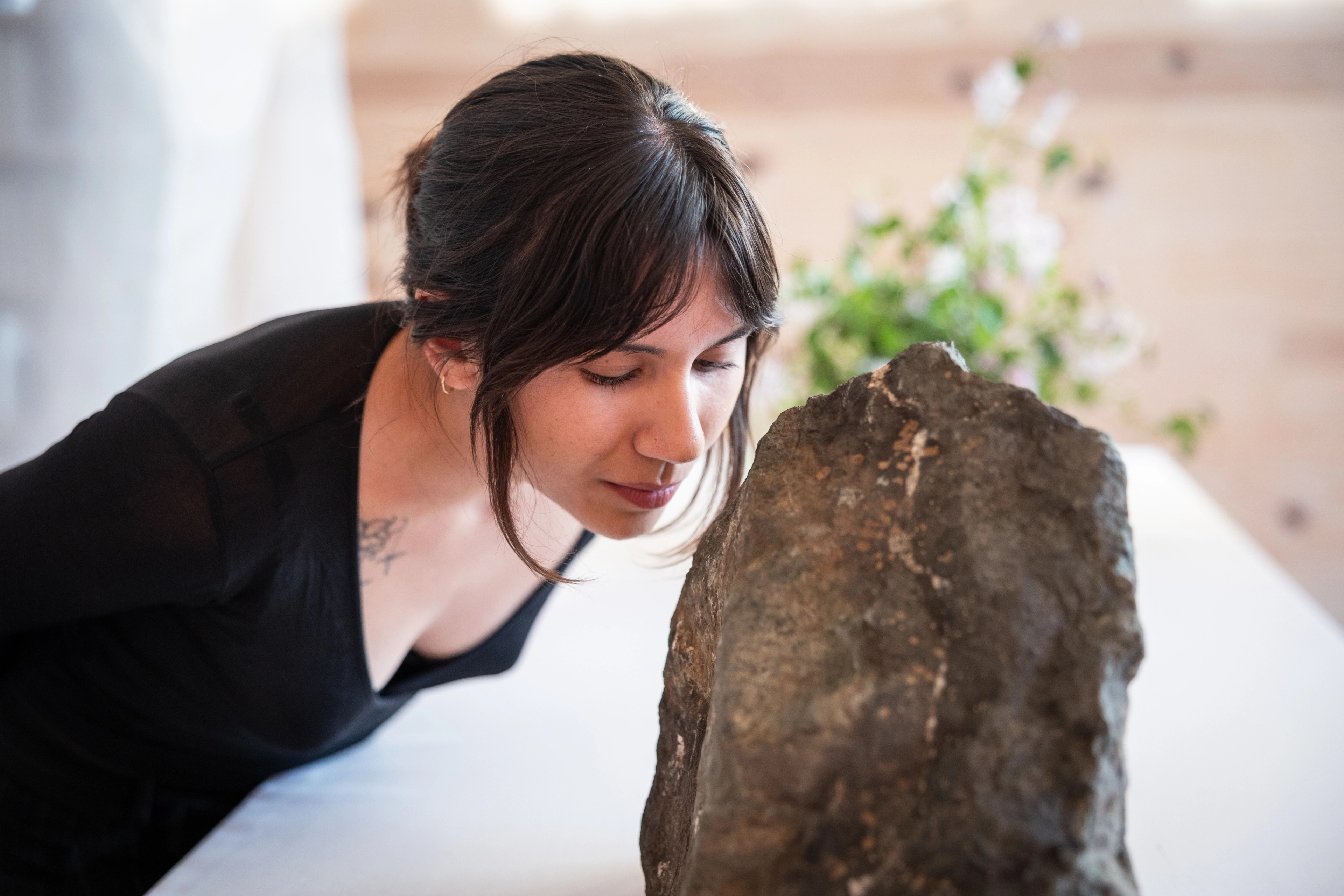 A decorative image from Usal Project