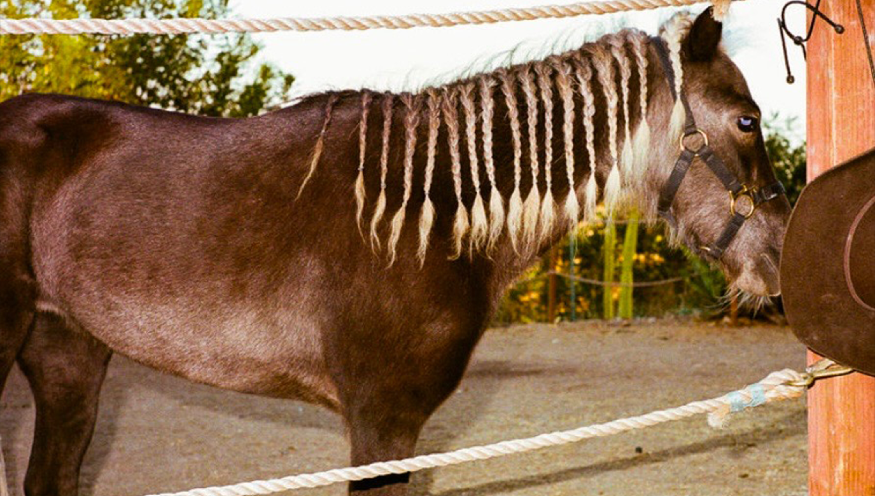 Hero Poster - A decorative image from Usal Project