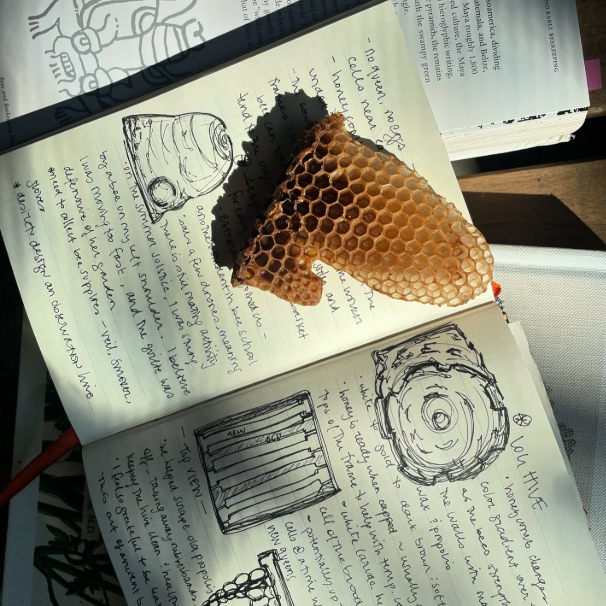 A decorative image from Usal Project