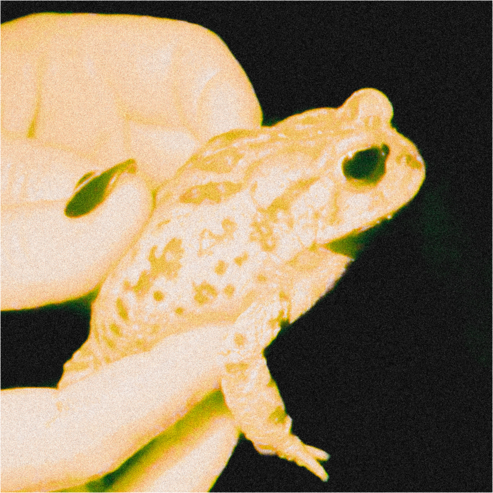 A decorative image from Usal Project