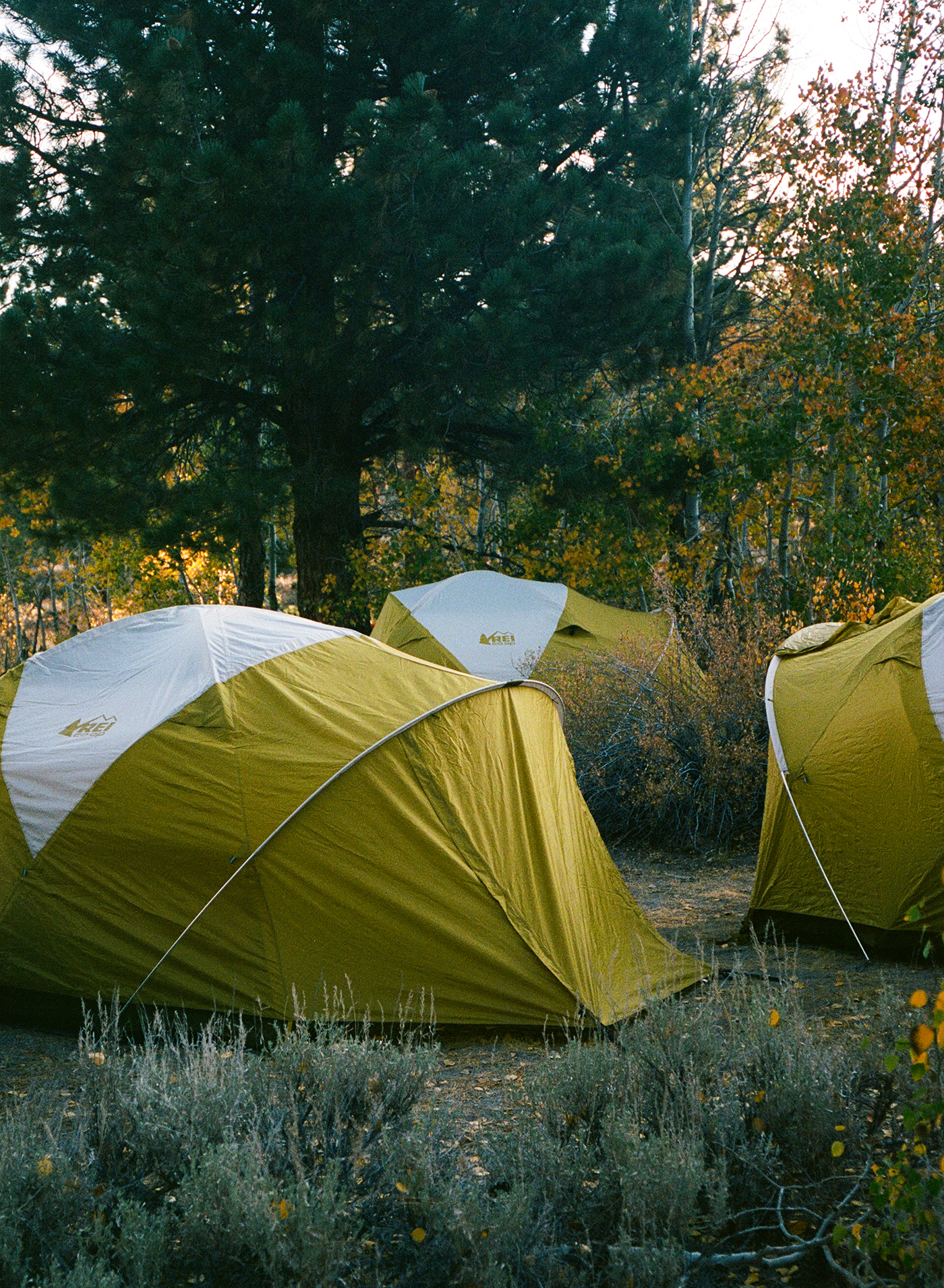 A decorative image from Usal Project