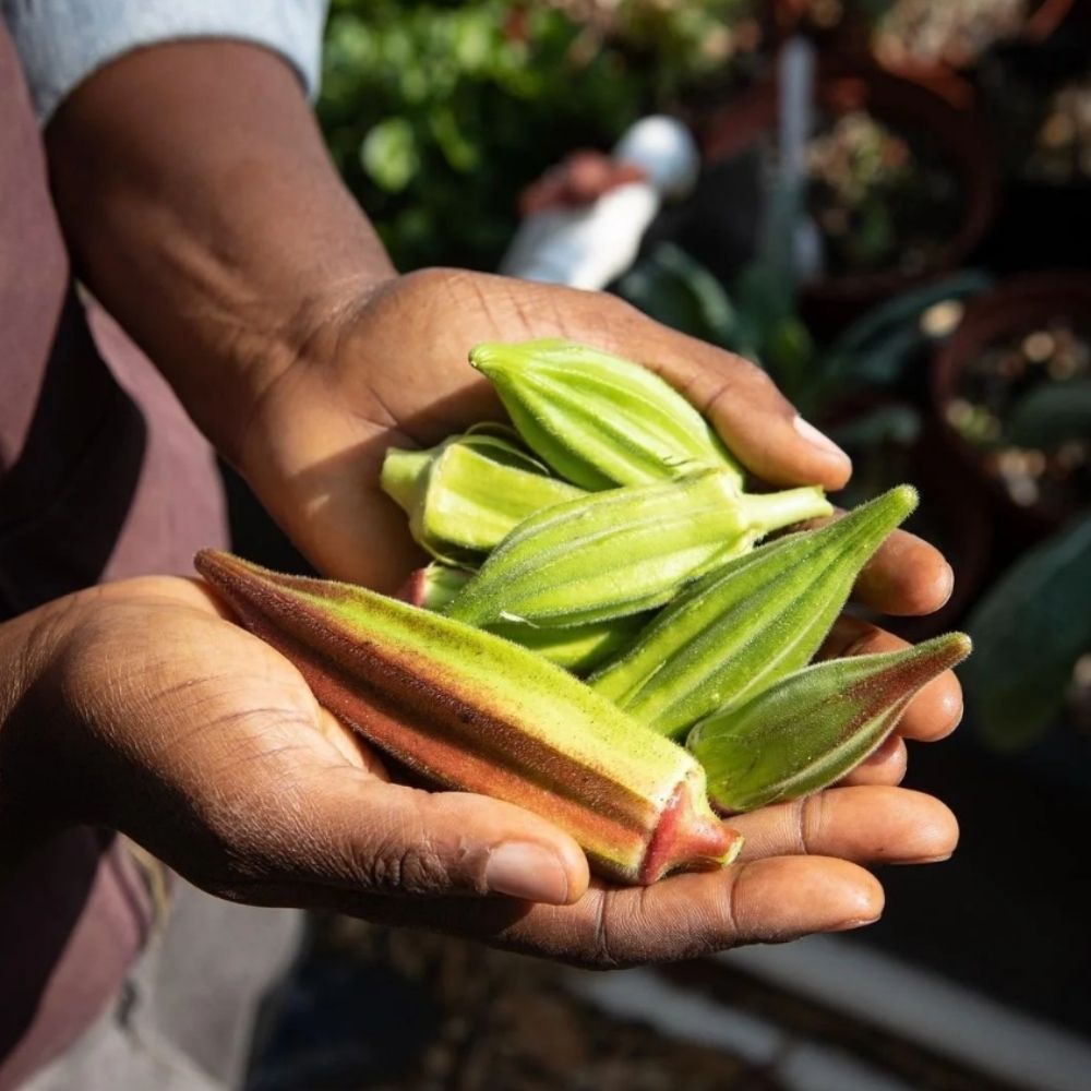 A decorative image from Usal Project