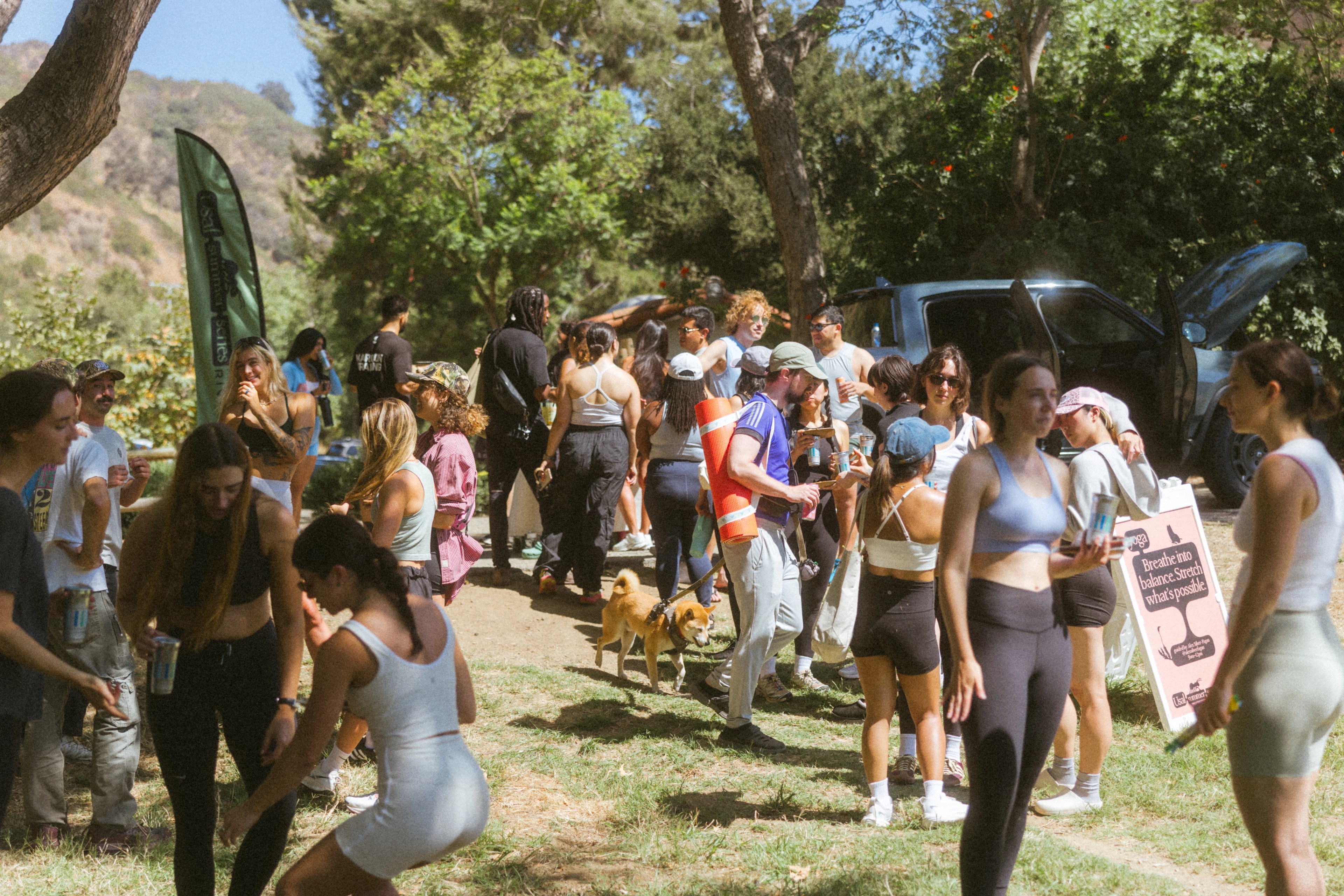 A decorative image from Usal Project