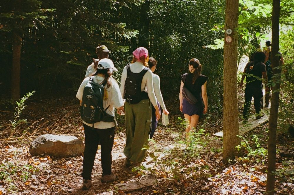 A decorative image from Usal Project