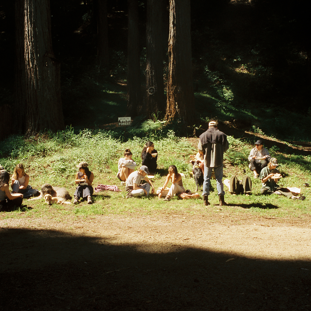 A decorative image from Usal Project