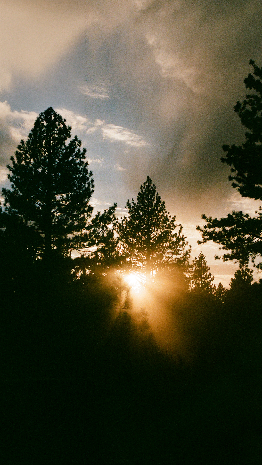 Hero Poster Mobile - A decorative image from Usal Project