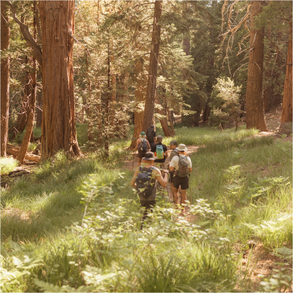 A decorative image from Usal Project