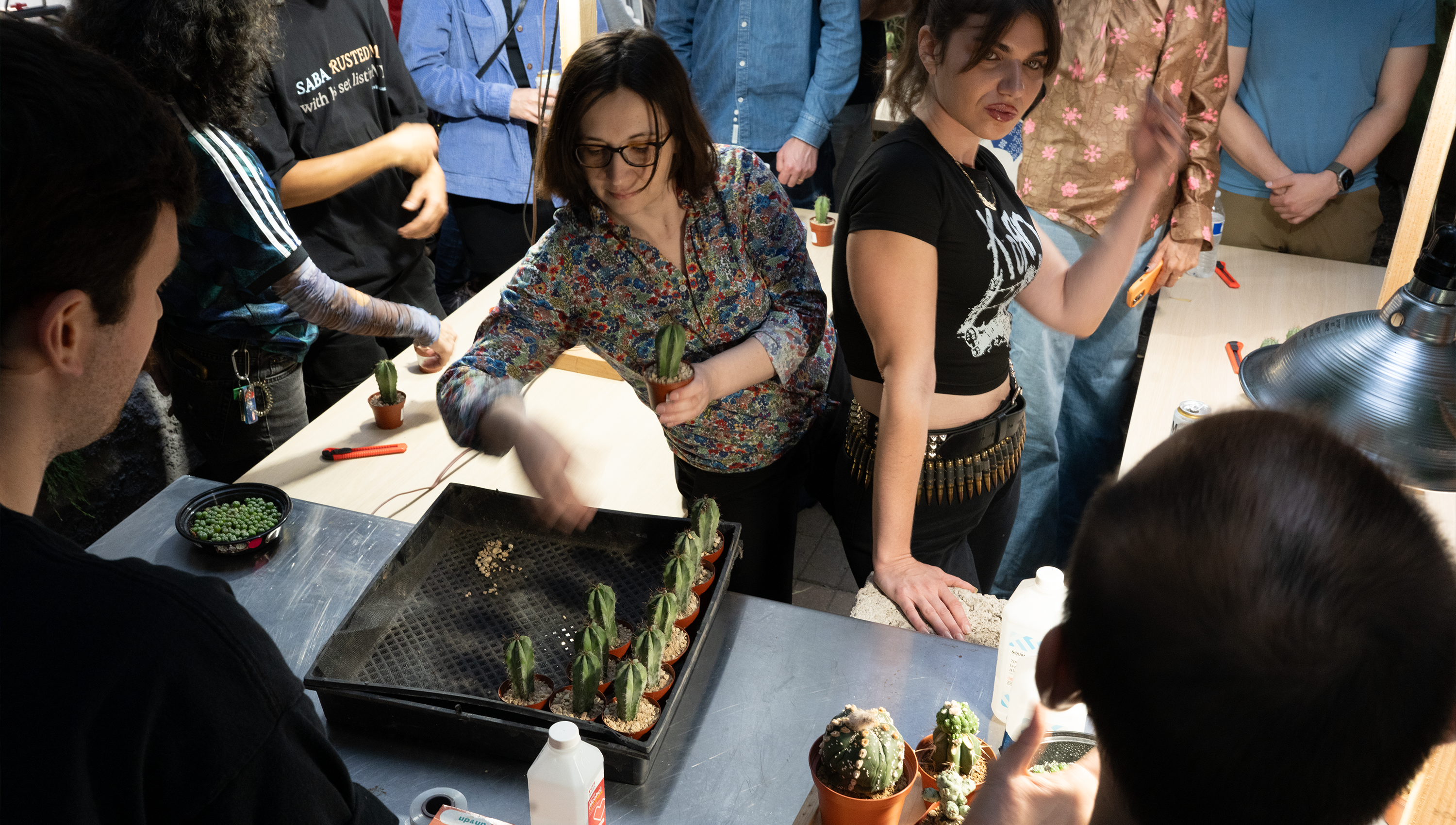 A decorative image from Usal Project