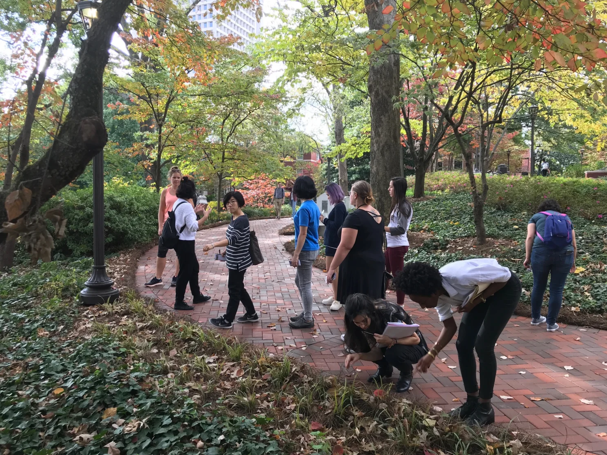 A decorative image from Usal Project