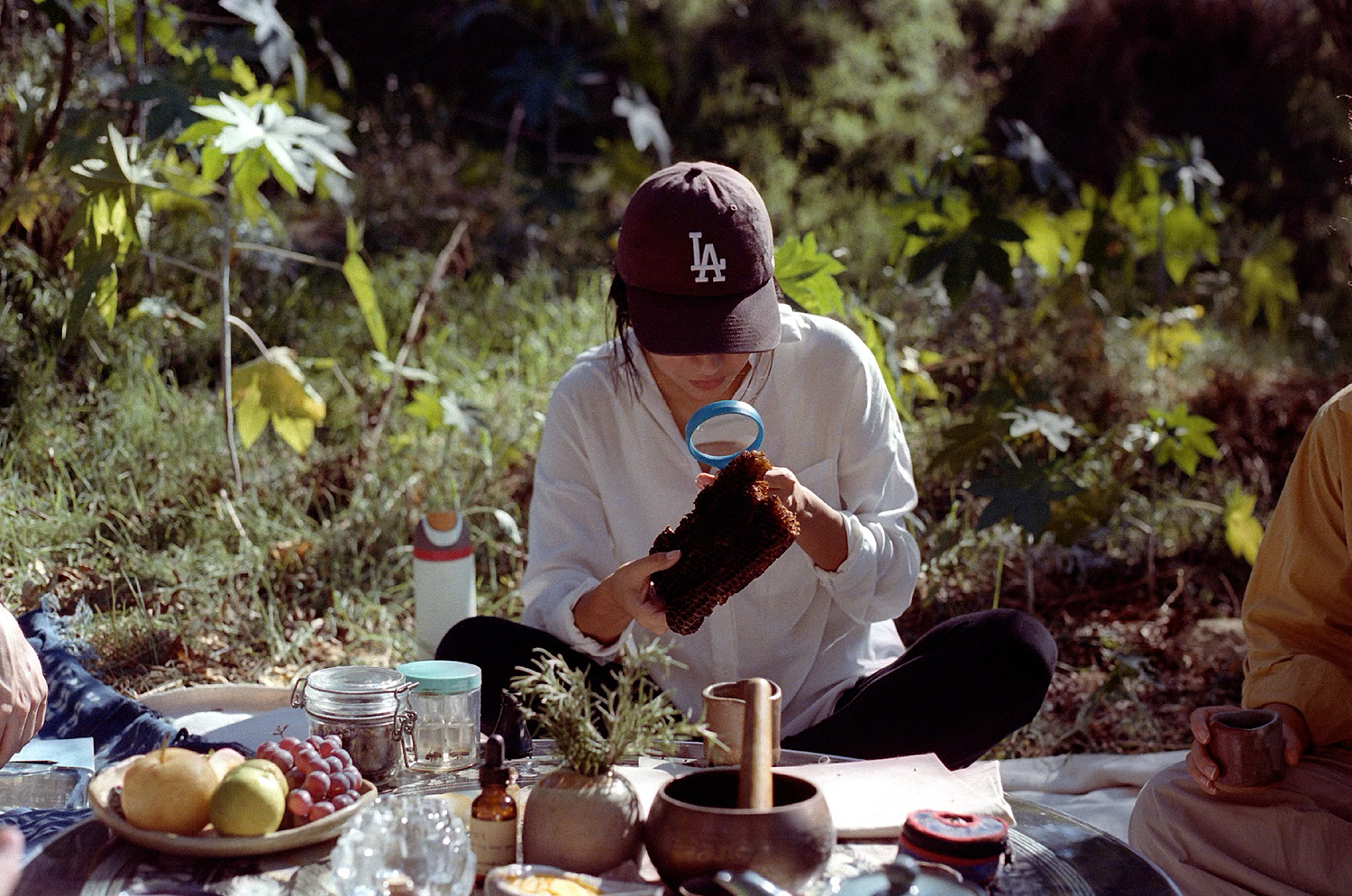 A decorative image from Usal Project