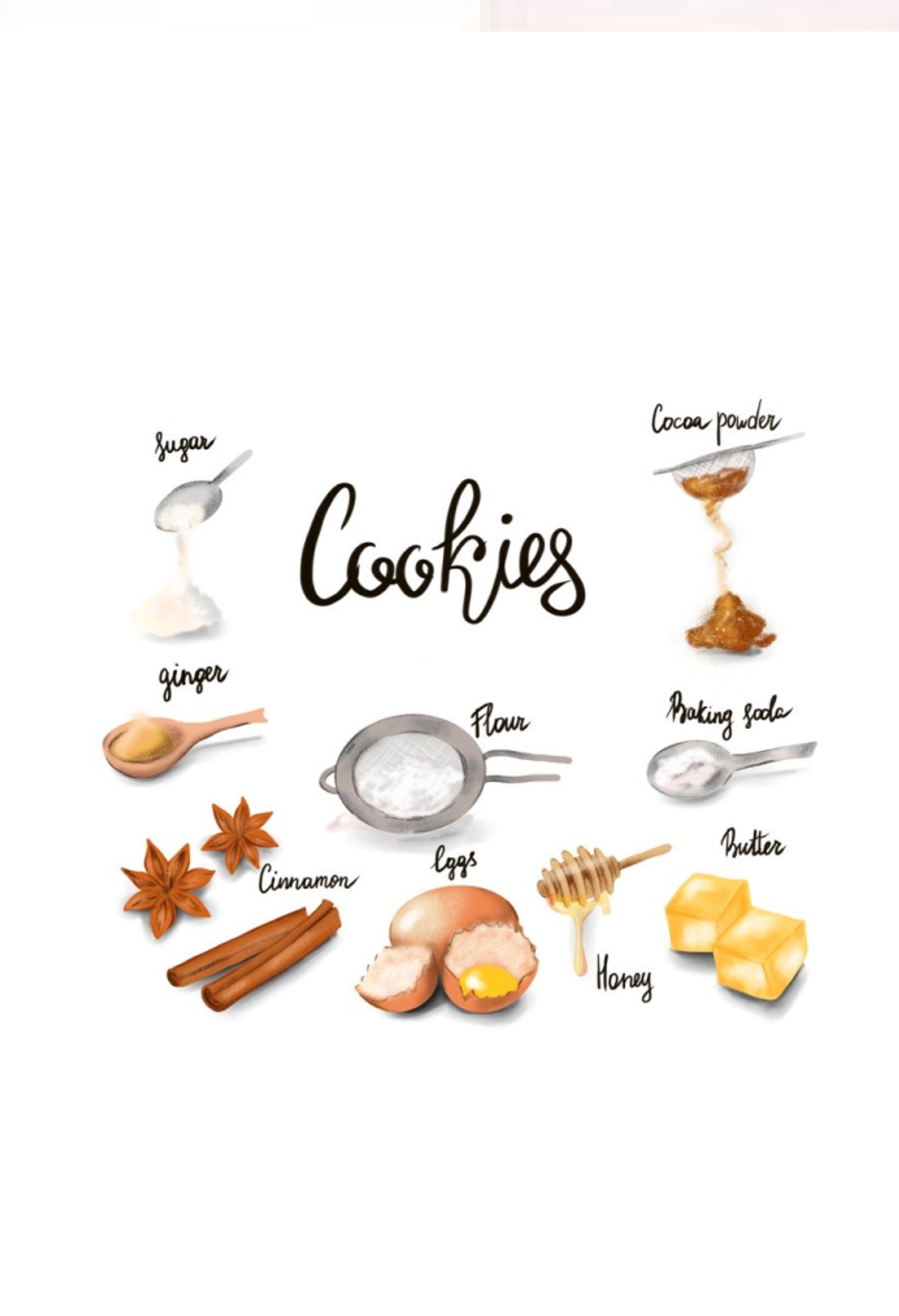 Cookies recipe illustration with ingredients: sugar, ginger, cocoa, flour, eggs, honey, butter