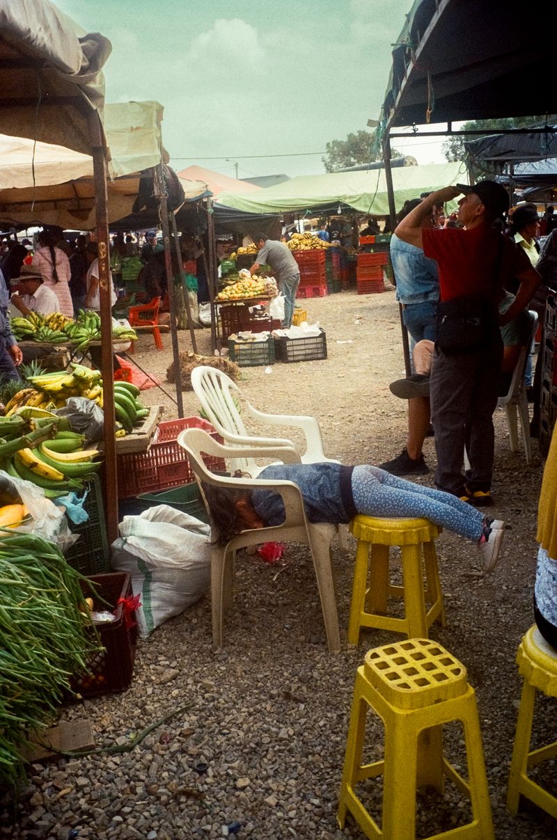 Colombia, Sri Lanka, Bali, 2024