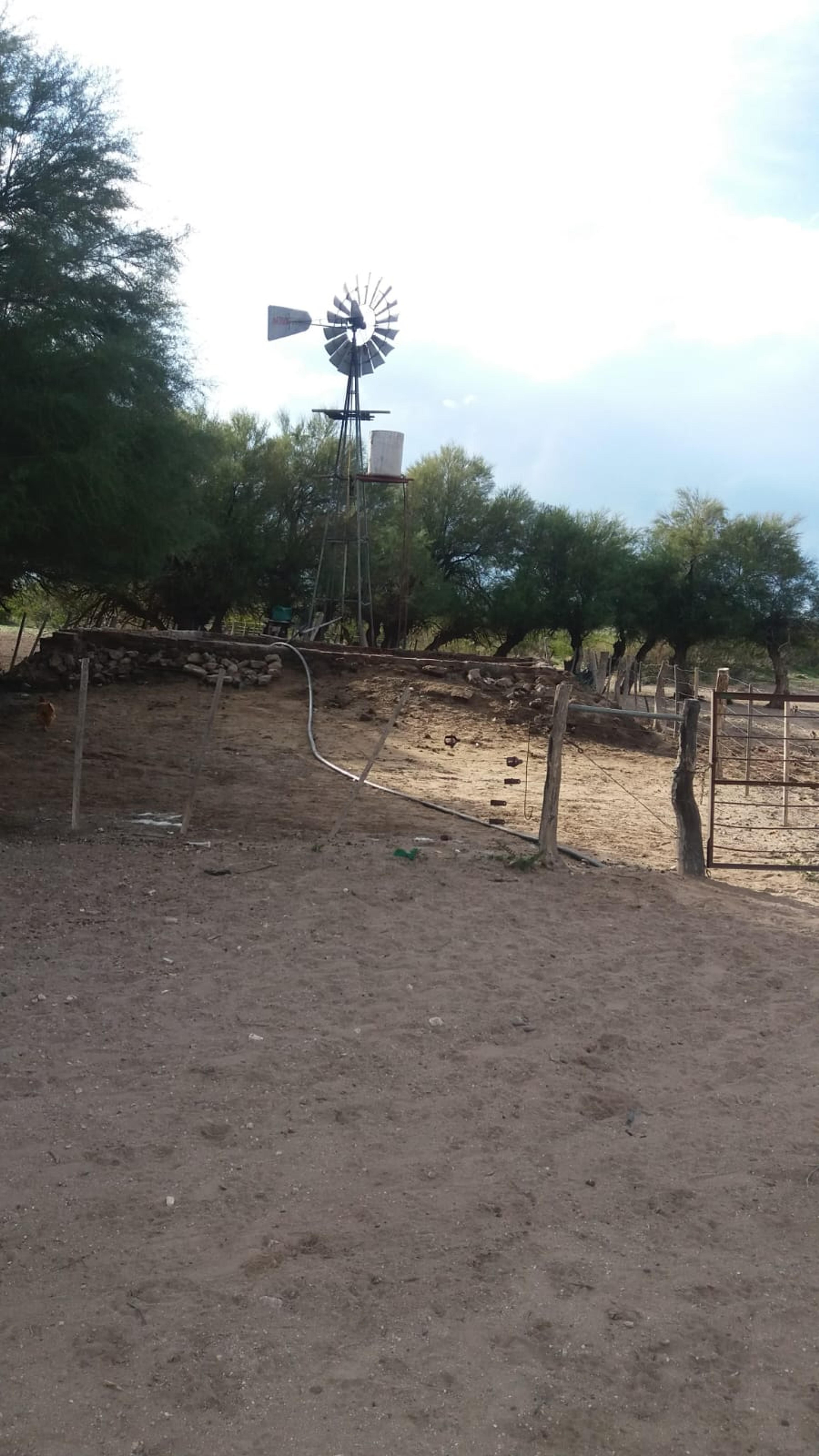 Campo a 52 km al sur de Puelches (sobre RN 152, La Pampa) — imagen 3