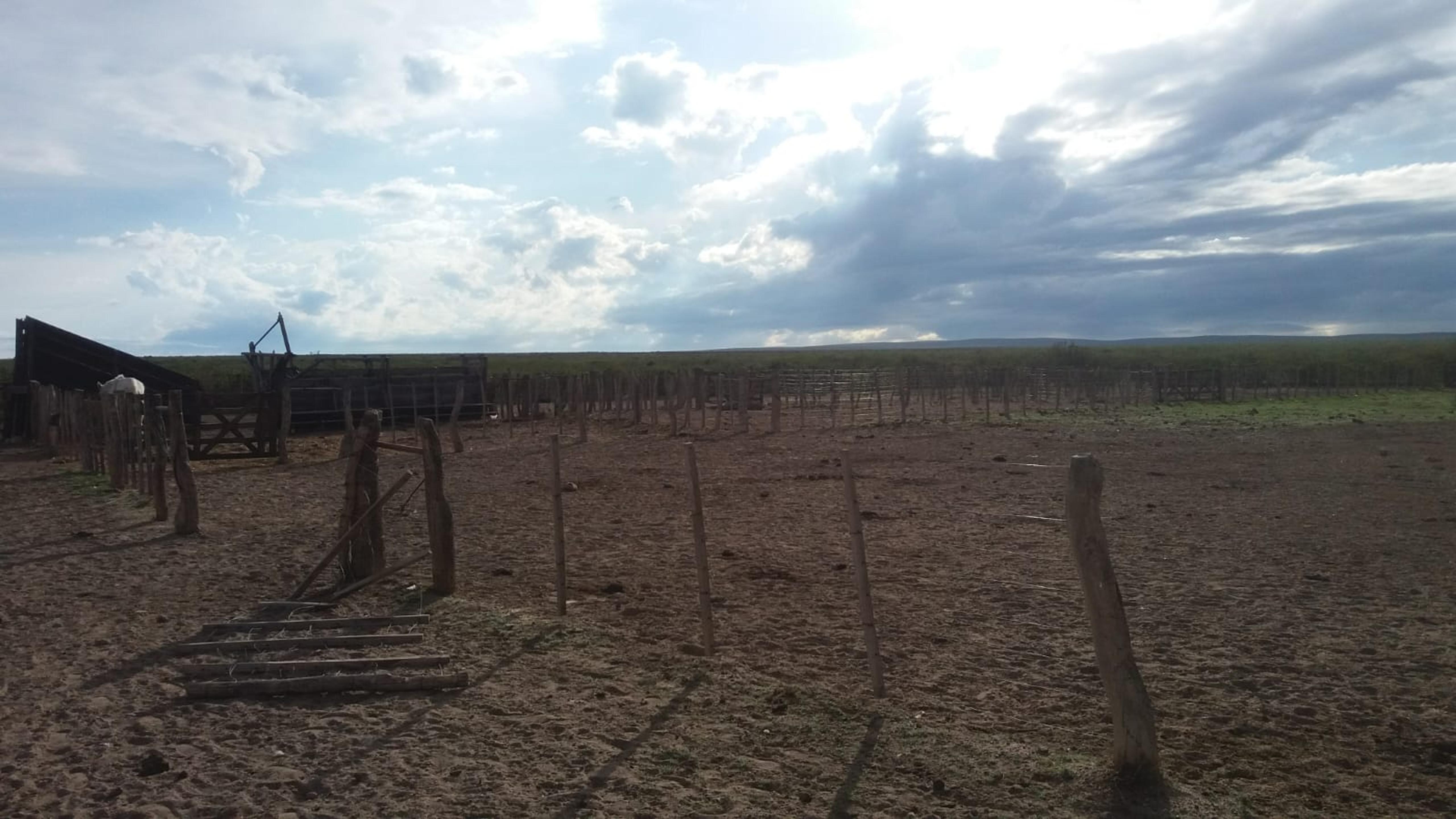 Campo a 52 km al sur de Puelches (sobre RN 152, La Pampa) — imagen 4