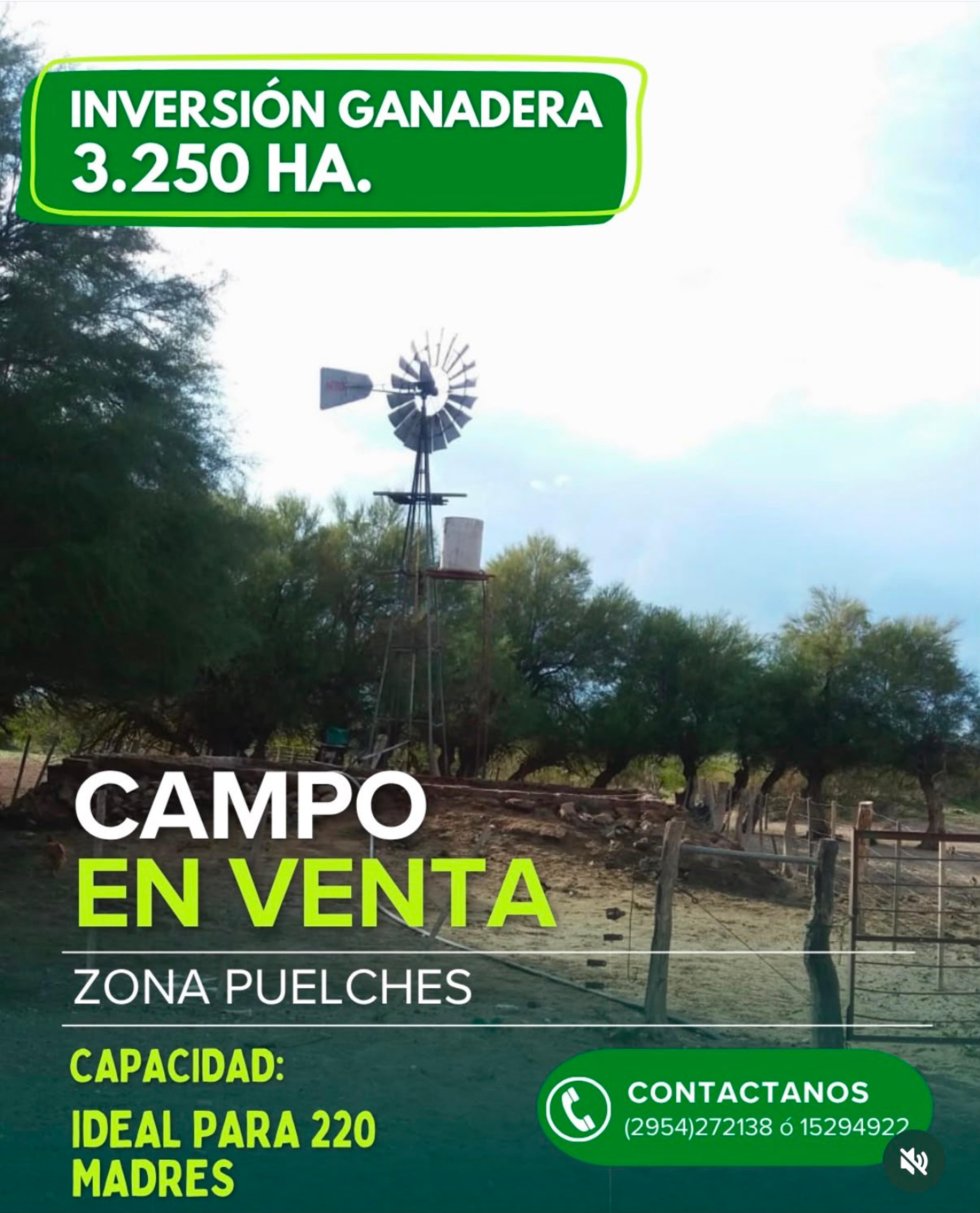 Campo a 52 km al sur de Puelches (sobre RN 152, La Pampa) — imagen 1