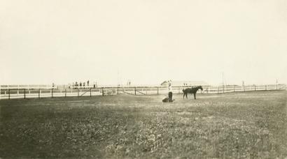 image from Hale, as a cowboy, competing in a roping contest.