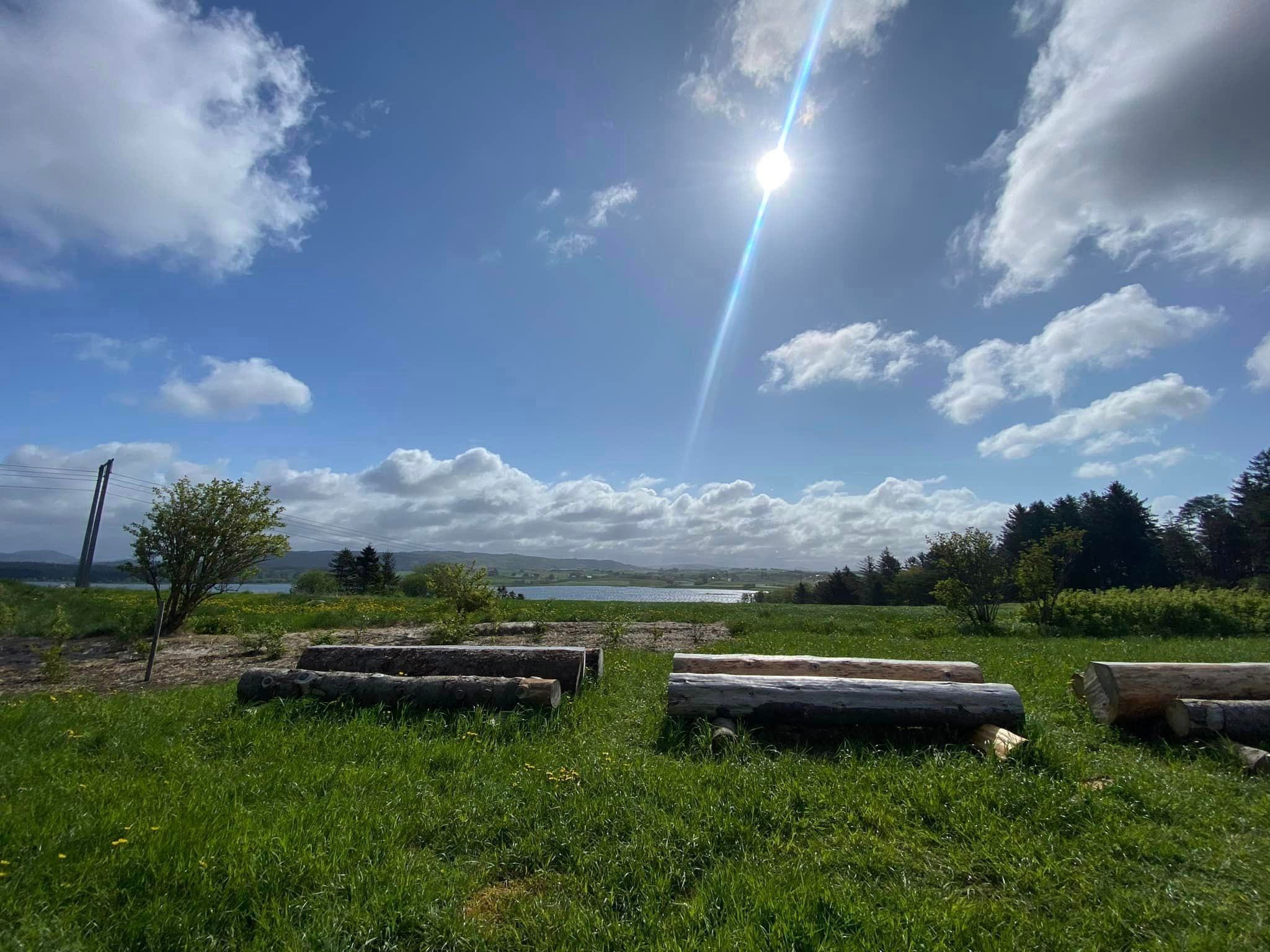 Frukthagen er omtrent 150 meter lang og 150 meter bred, og ligger ikke langt fra hundeparken i Vardheia. Frukthagen ble etablert med de første trærne høsten 2021, og i dag finnes det totalt 130 ulike frukttrær i hagen. Her vil du finne epler, plommer, minikiwi, aprikos og ulike bærsorter.