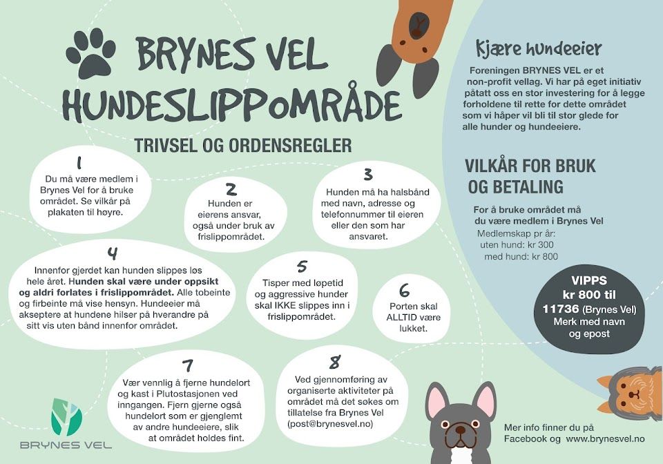 Hundeparken er et yndet sted for hundeeiere. Brynes Vel har opprettet denne parken for å gi hunder et trygt og inngjerdet område hvor de kan løpe fritt og leke.