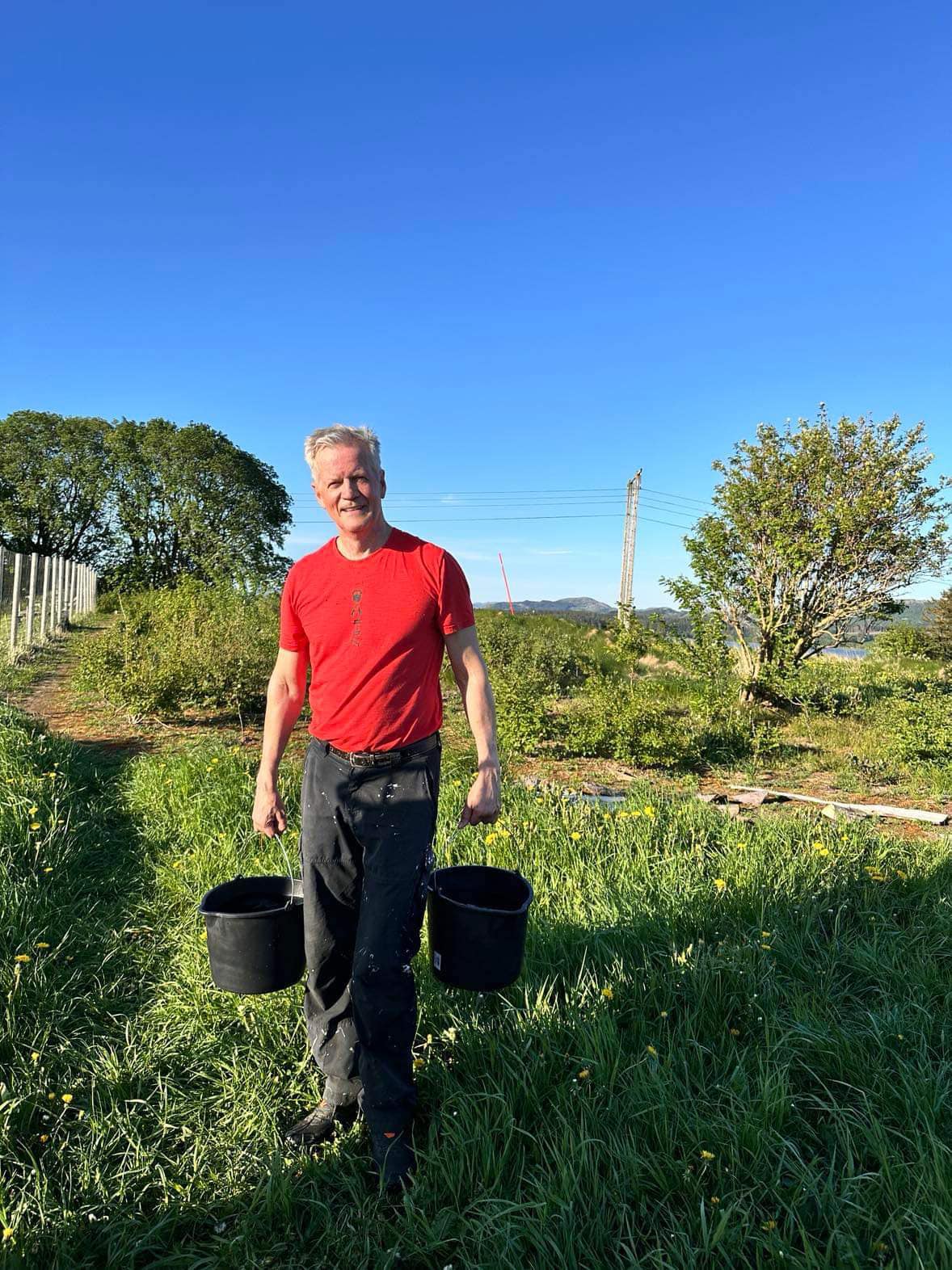 Sommerklargjøring i frukthagen. 