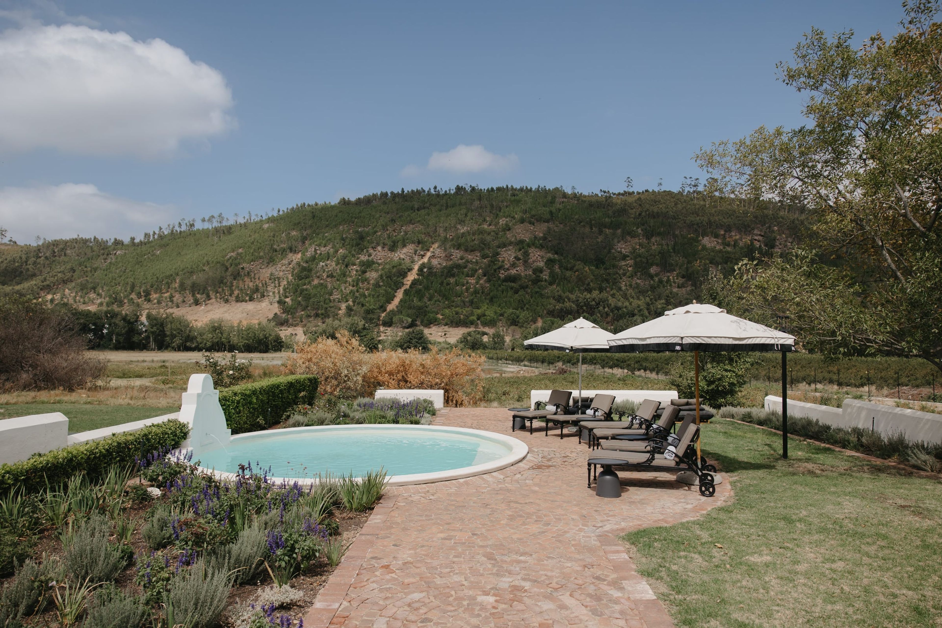 Pool and sun loungers at Rickety Bridge farm stay