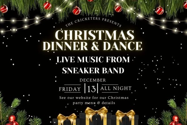 Christmas Dinner Dance with Sneaker