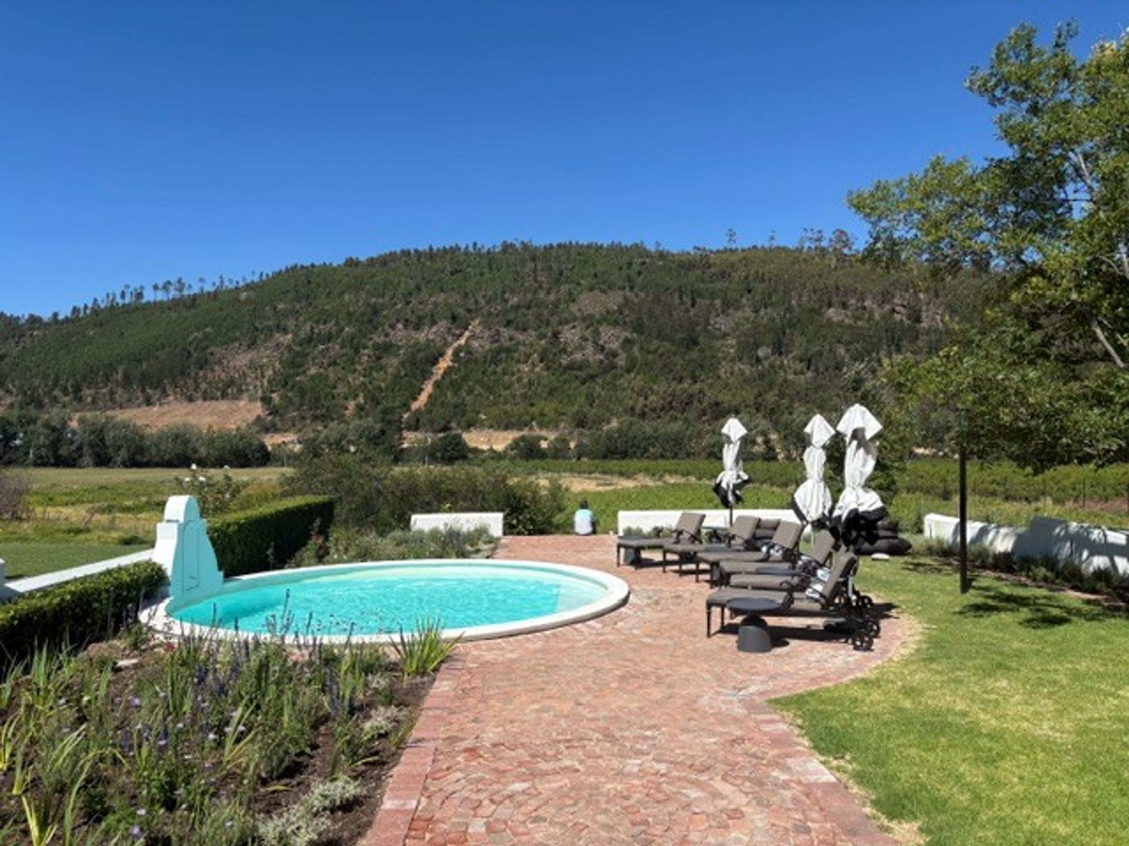 Pool and terrace at Rickety Bridge accommodation