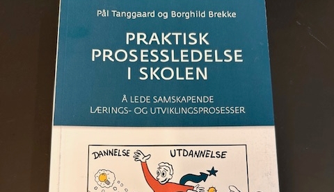 prosessledelse i skolen