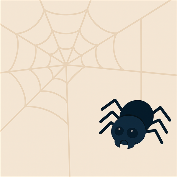 En edderkopp henger på en tråd fra et edderkoppnett.