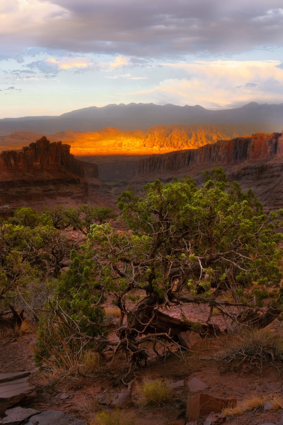Dead Horse Valley #1