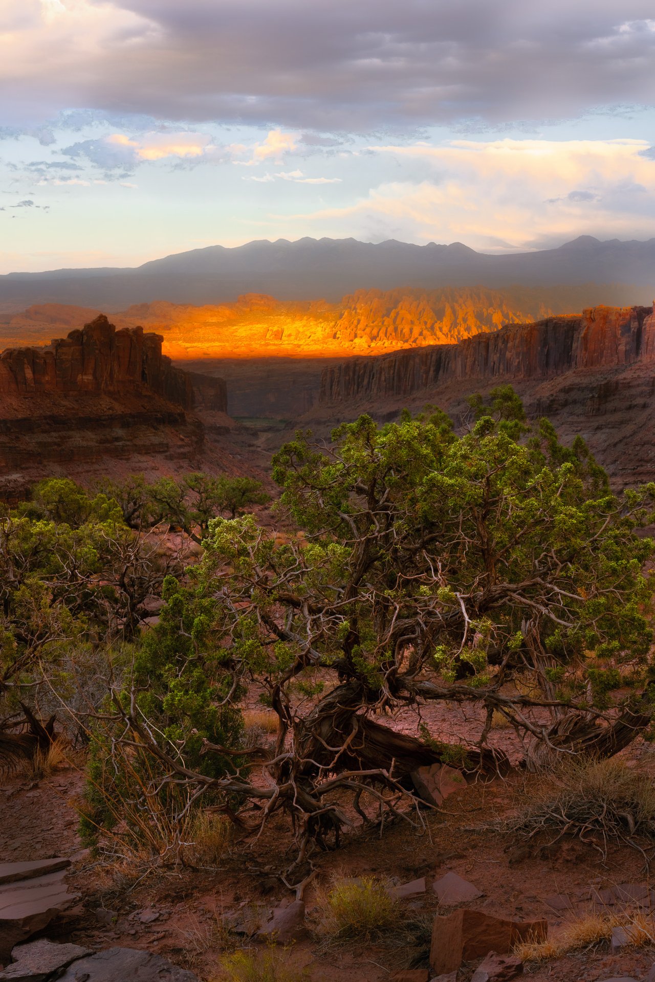 Dead Horse Valley #1