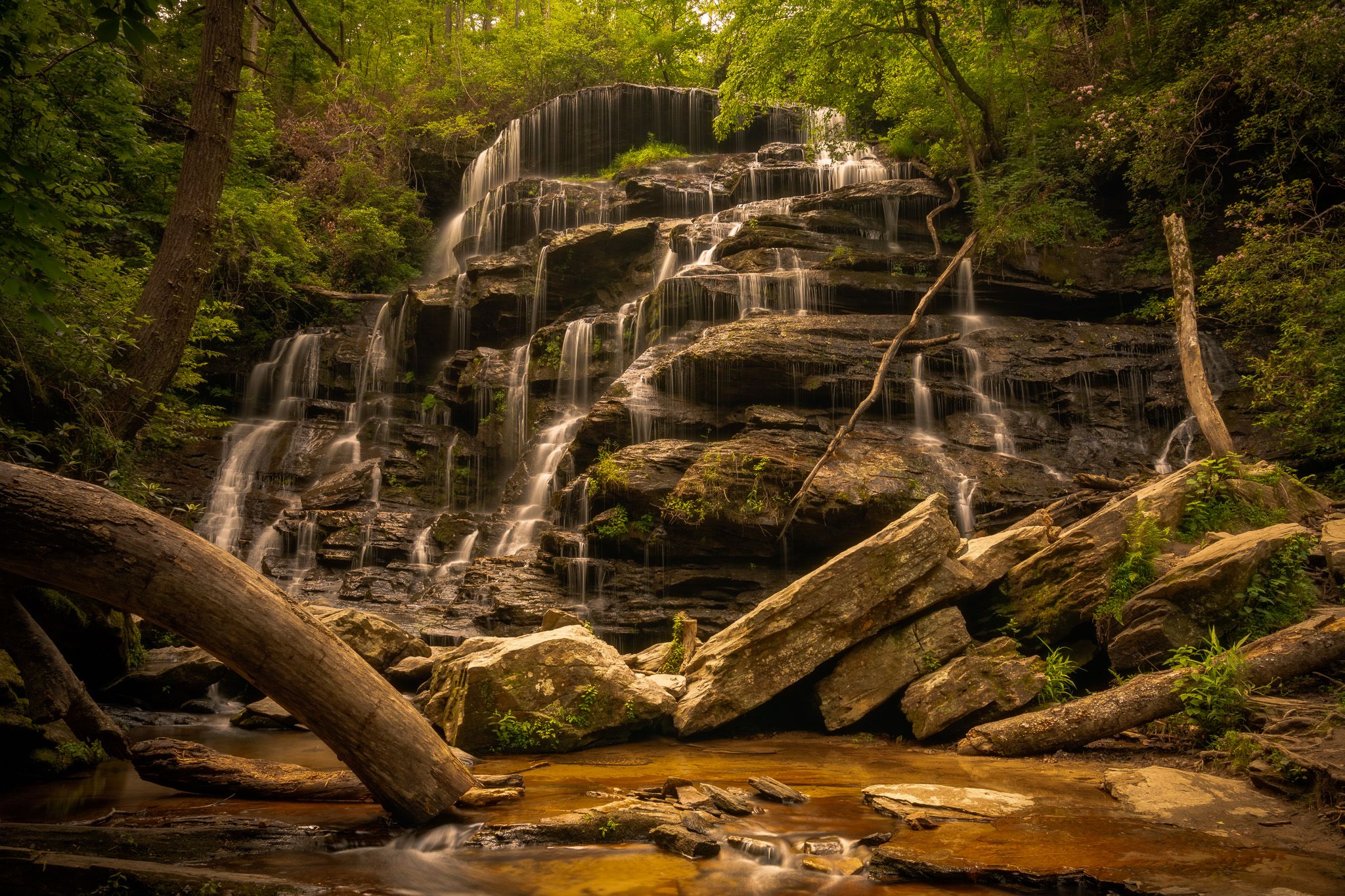 Yellow Branch Trail Falls #1