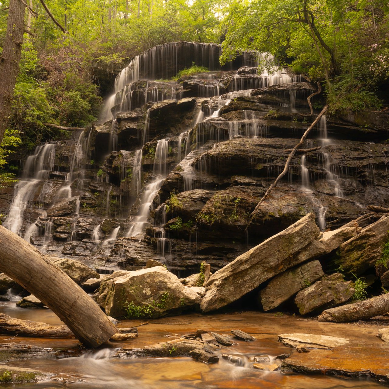 Yellow Branch Trail Falls #2