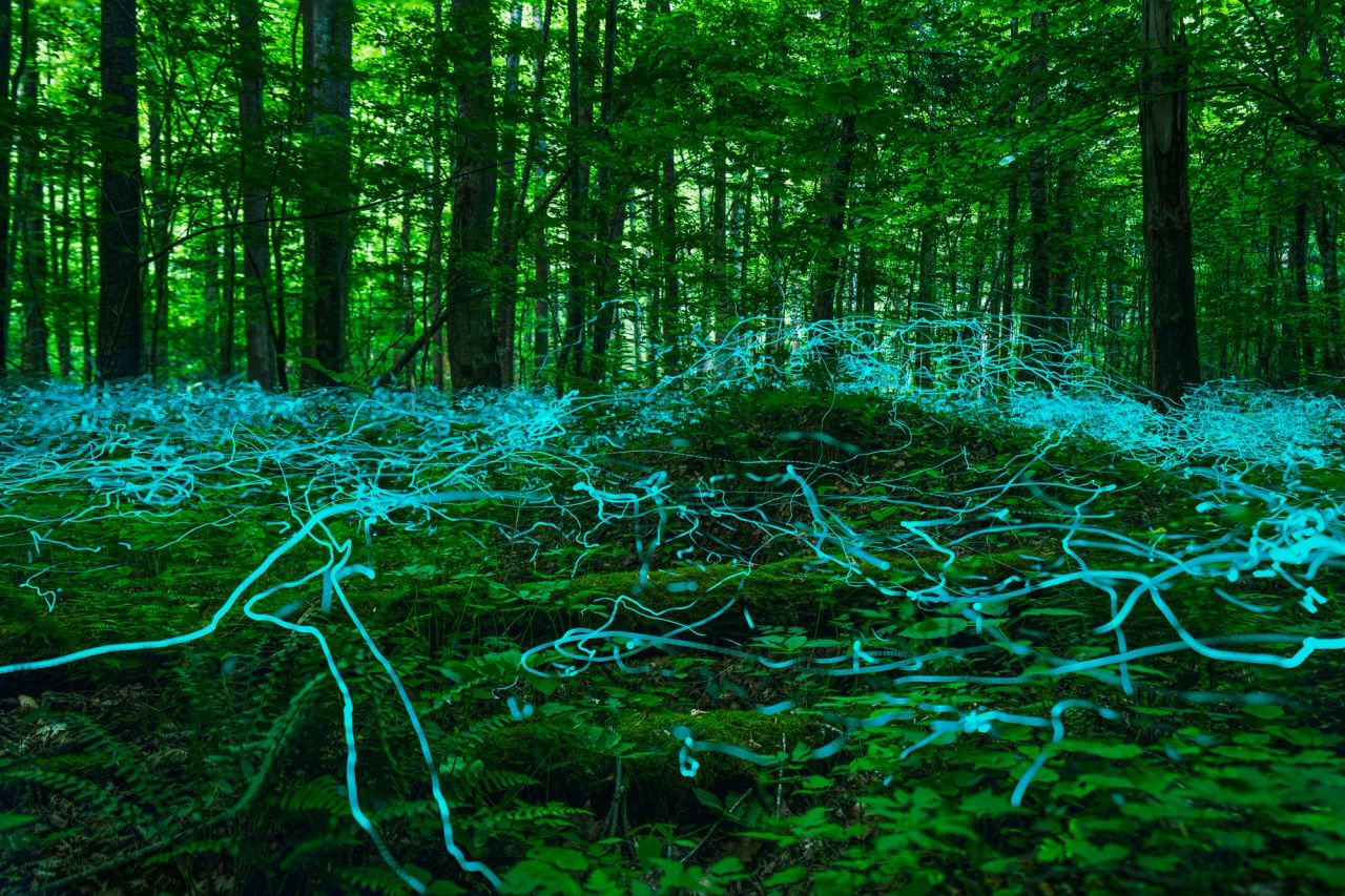 Blue Ghosts