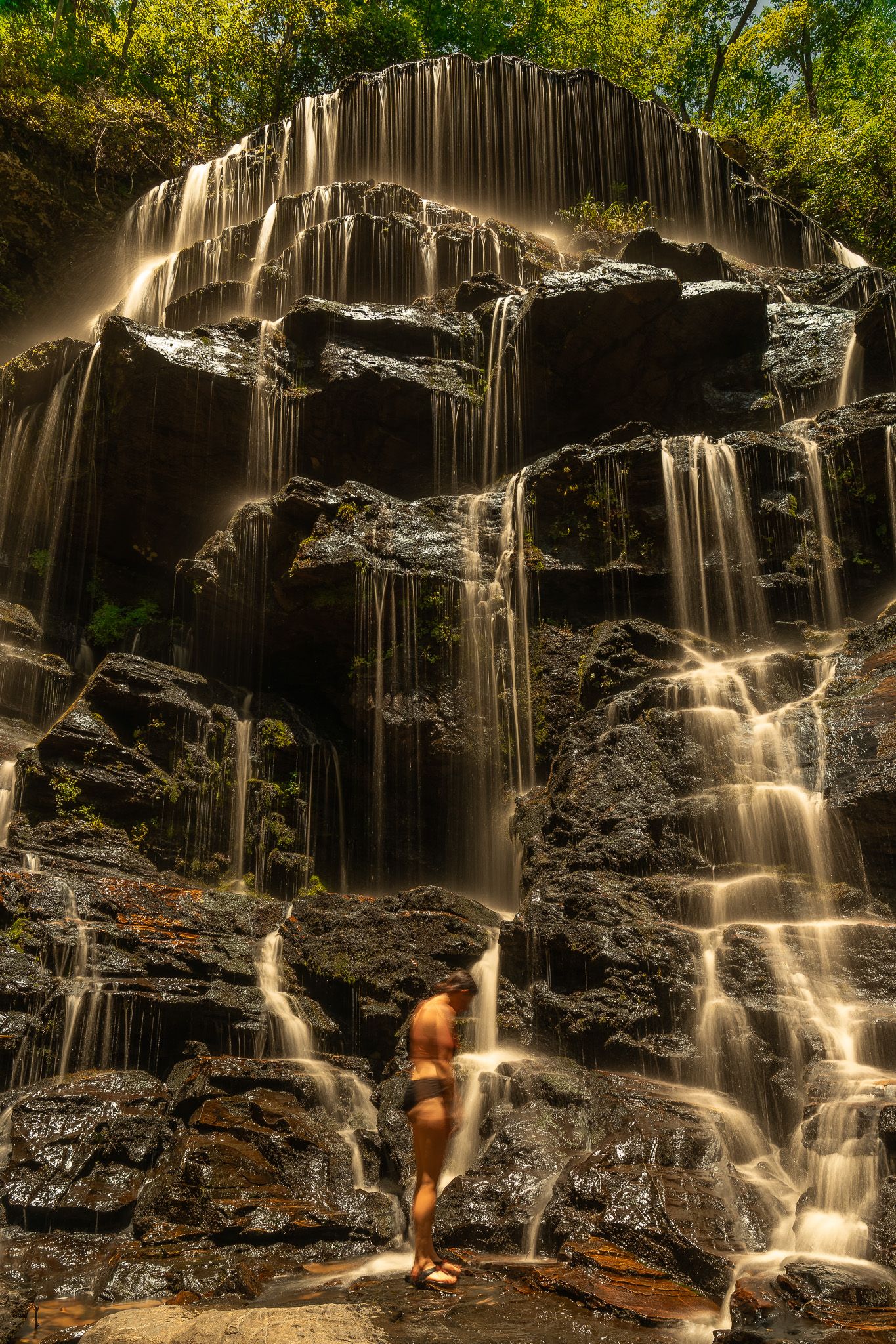 Barclay at Yellow Branch Trail Falls
