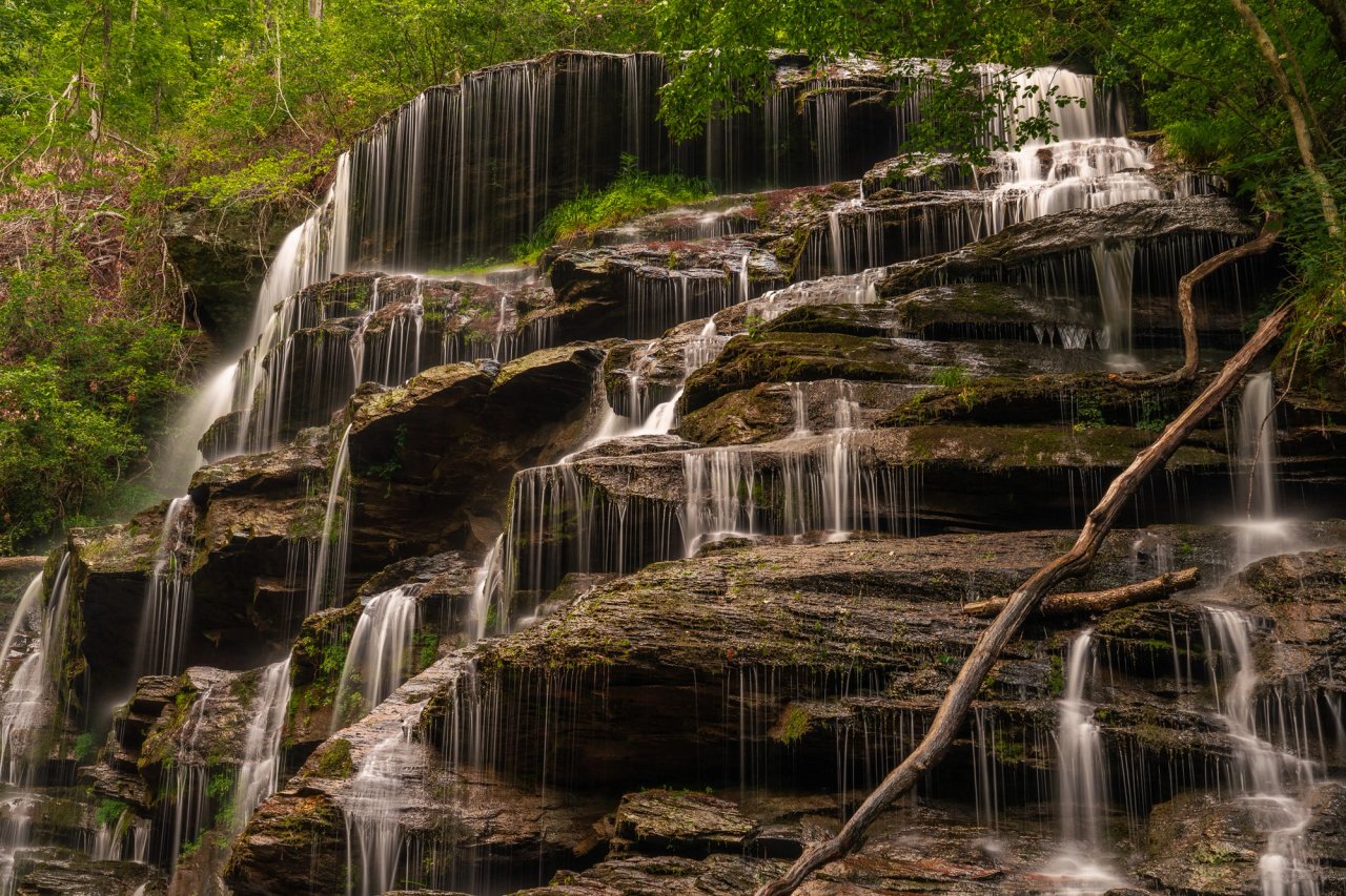 Yellow Branch Trail Falls #1