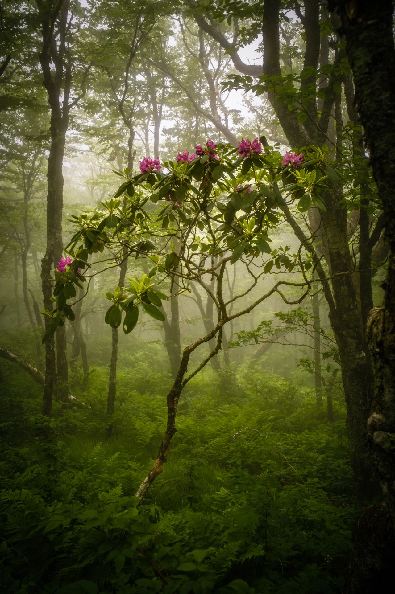 Beautiful and Alone #1