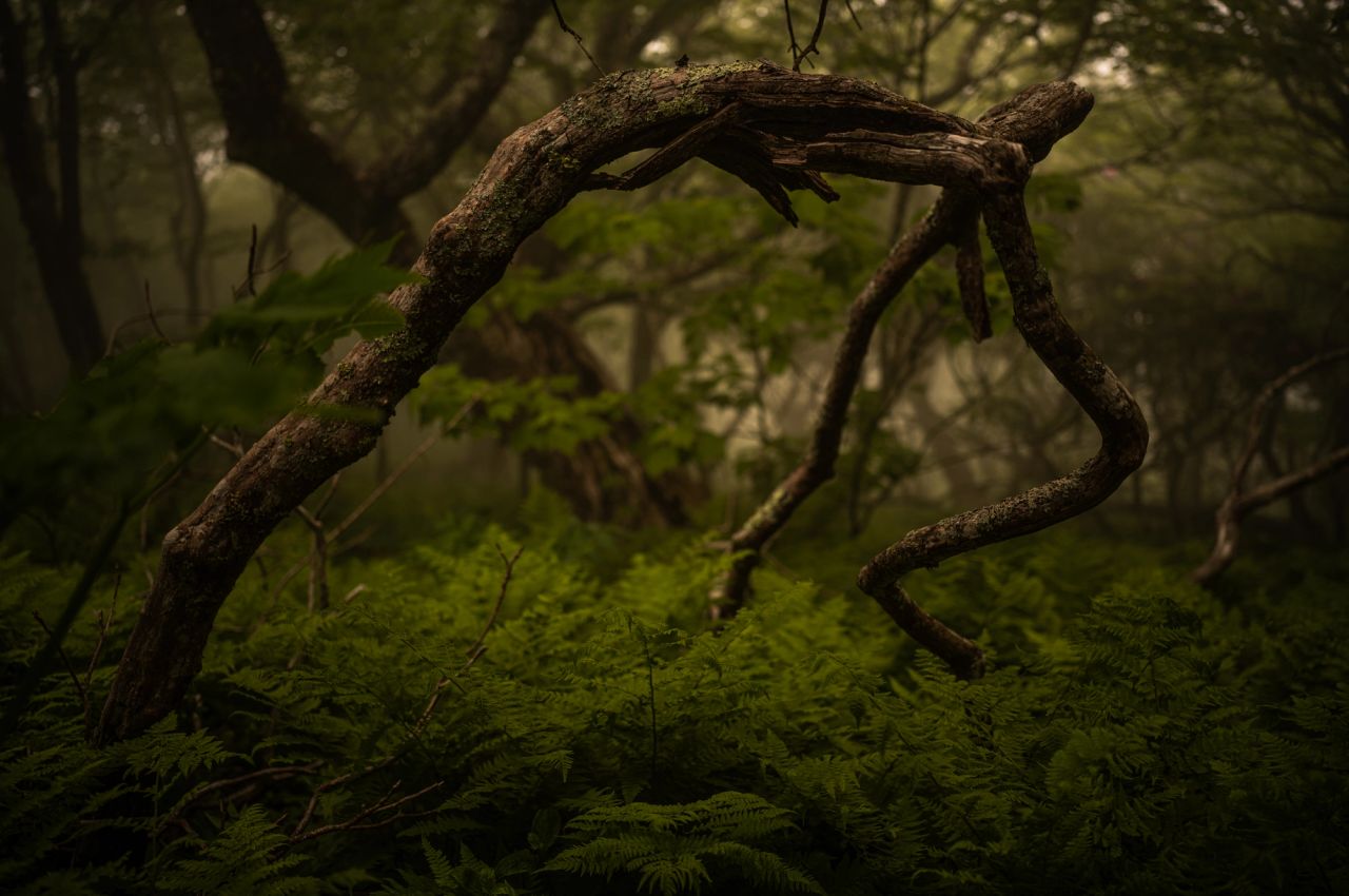 Beautiful and Alone #3
