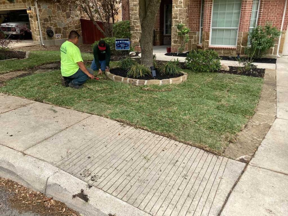 Eco-Friendly Lawn Care Tips for Texas Homeowners
