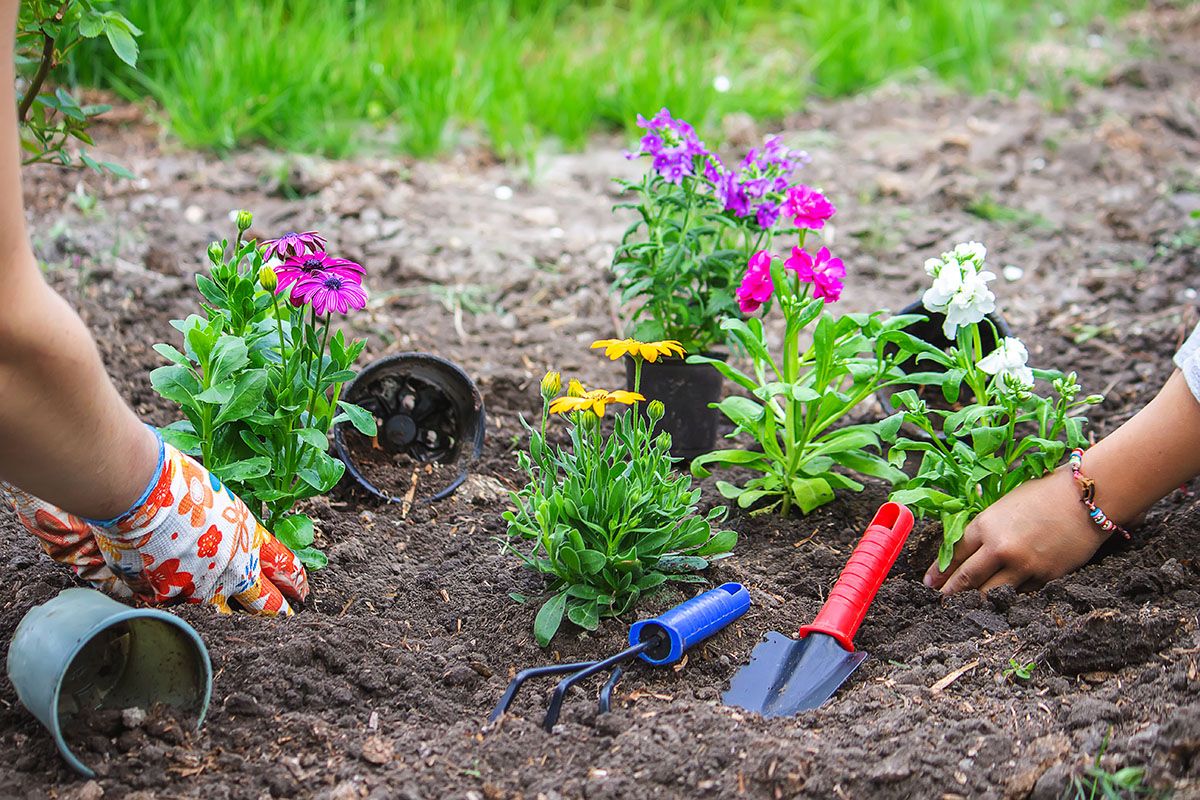 Flowerbed Weeding