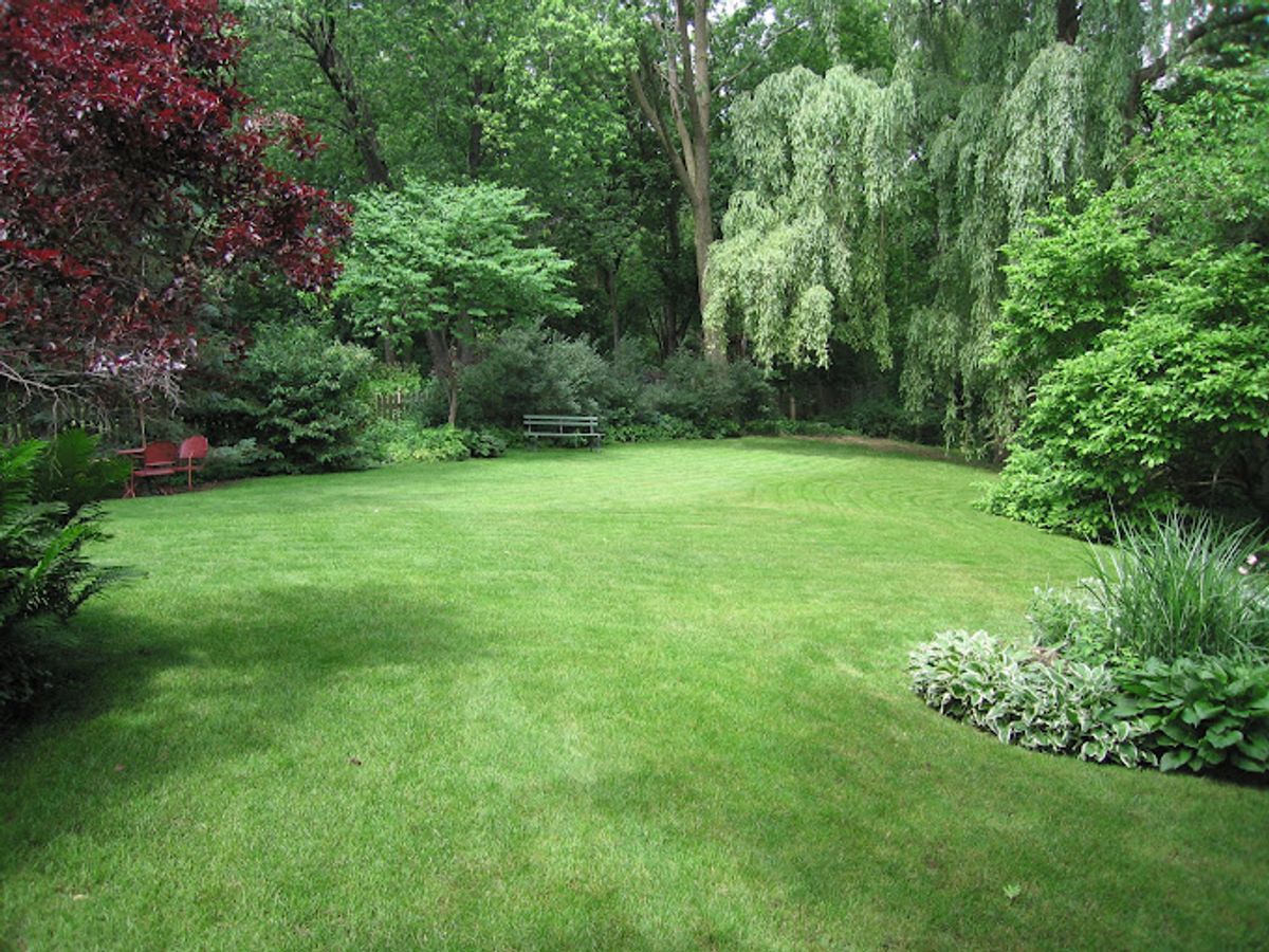 Lawn Care