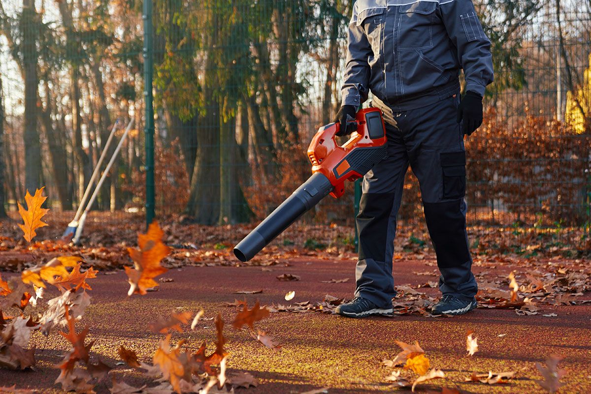 Leaf Cleanup