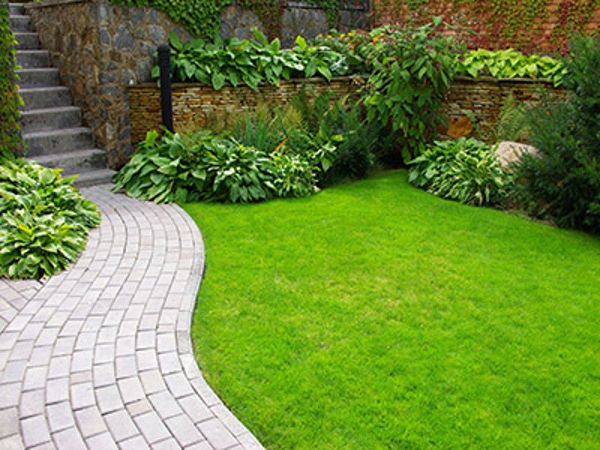 Lawn Care