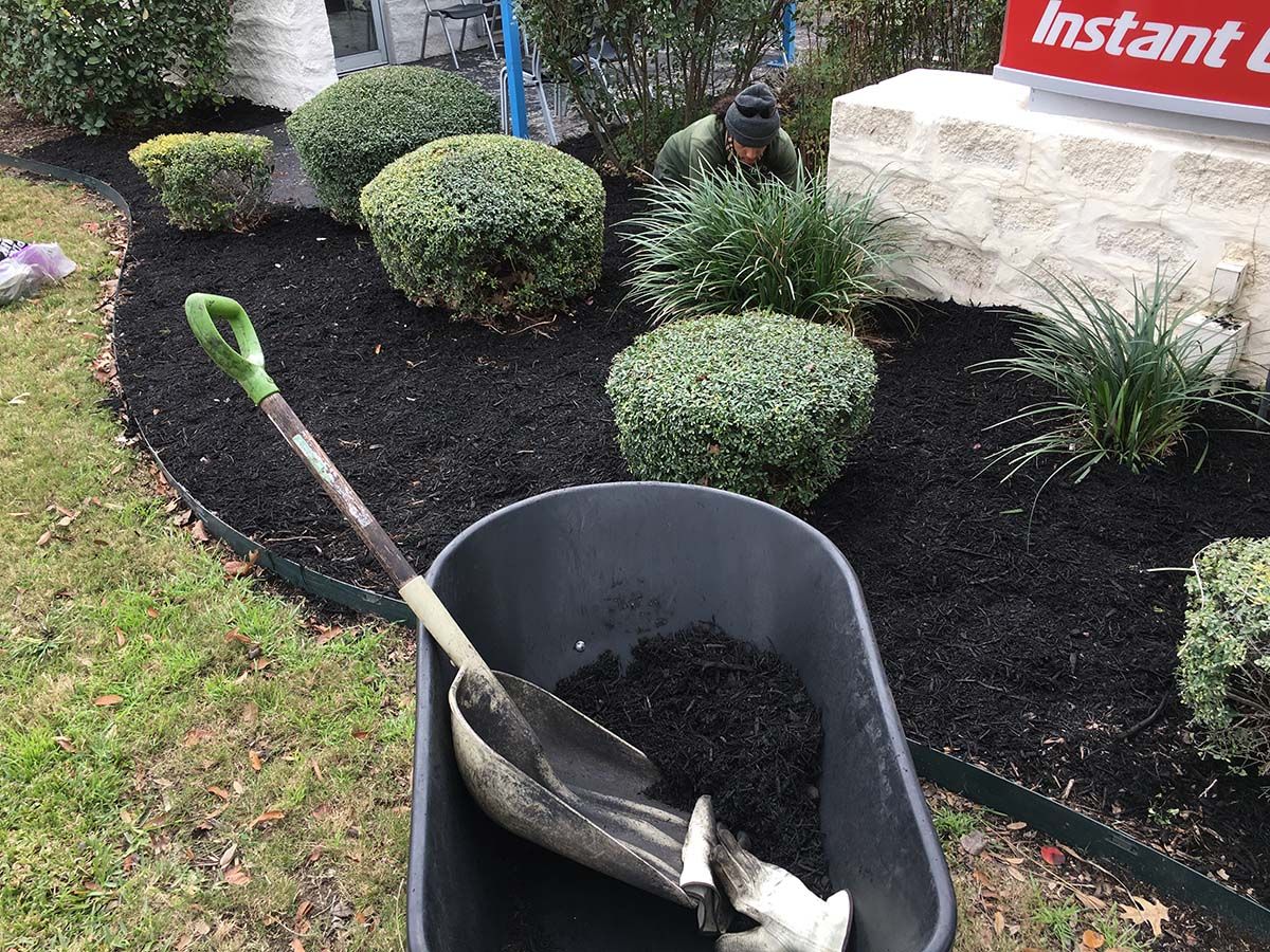 Mulching