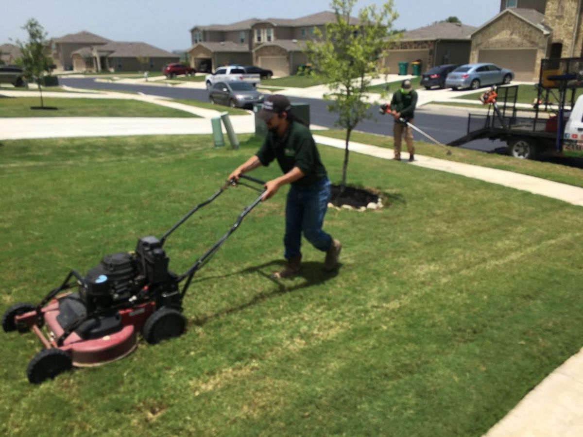 Lawn Mowing