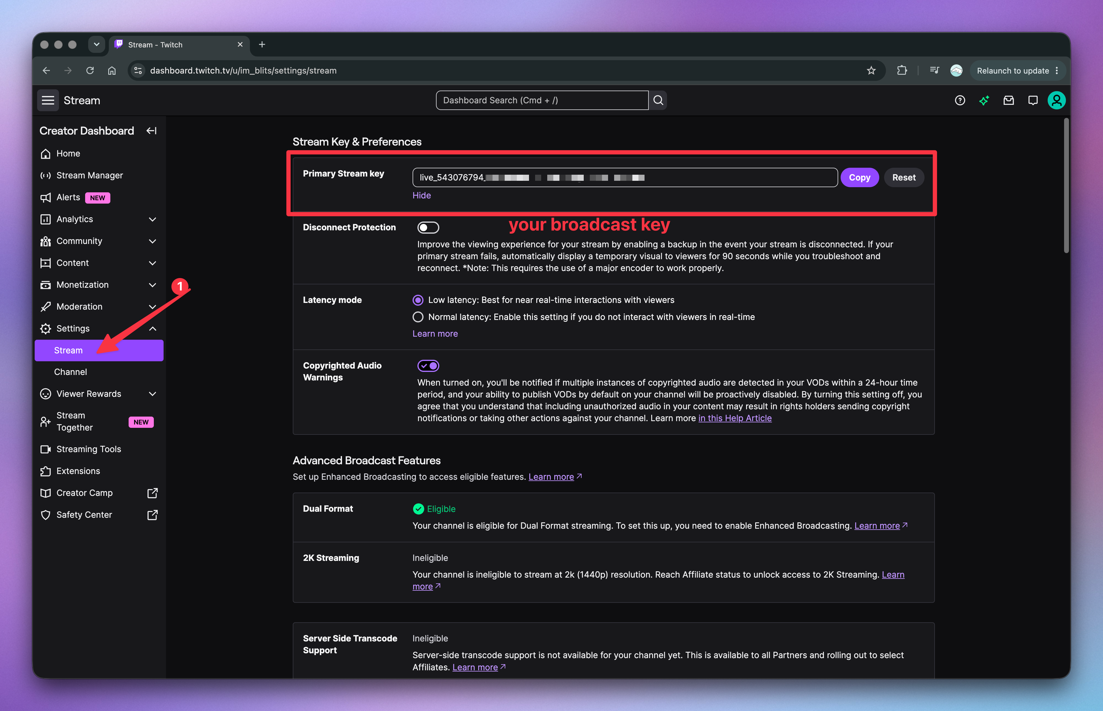 setting up stream key in twitch