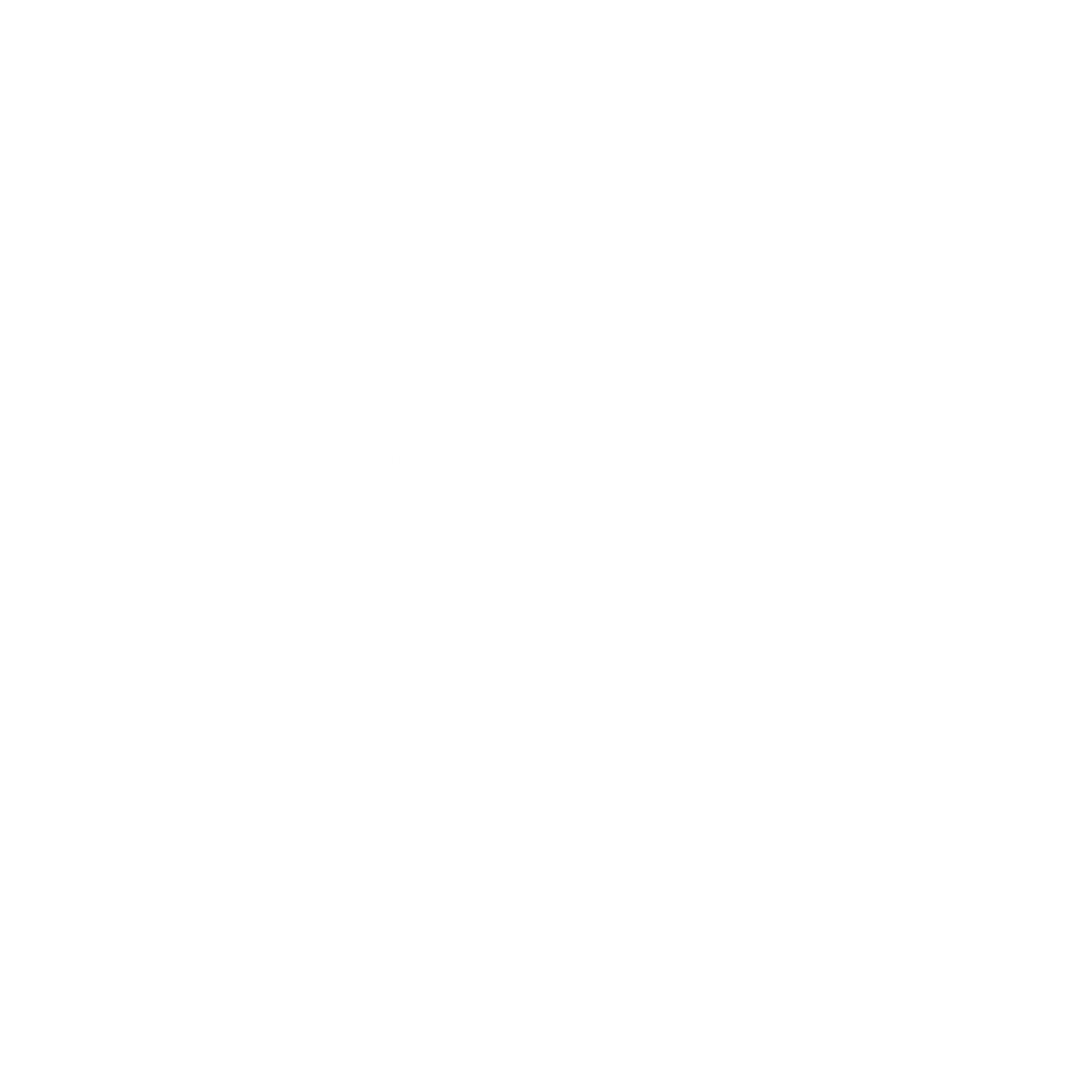Vincenzos logo