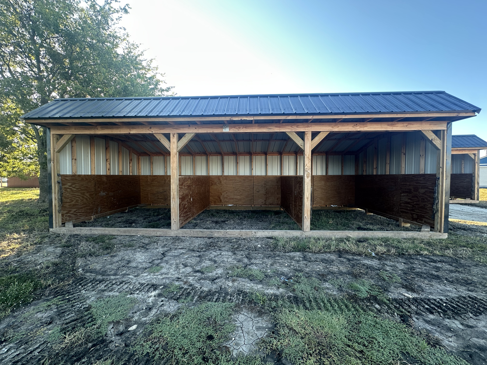 12x30 Animal Shelter — main photo