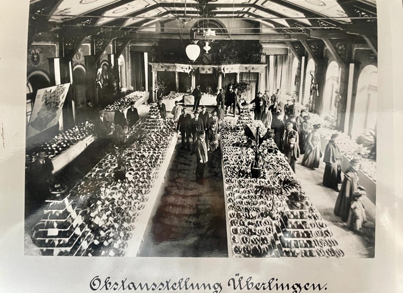 Ein Schatz aus dem Archiv